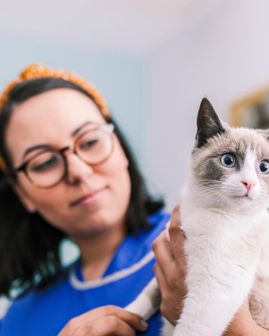 10 Thoughtful Self Care Gift Basket Ideas for Vet Tech Week (2024)