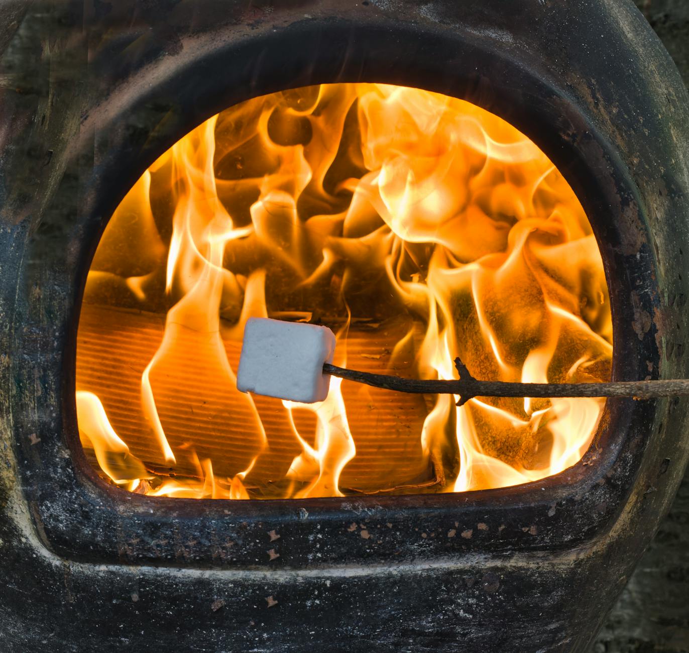 marshmallow on a stick in the fireplace