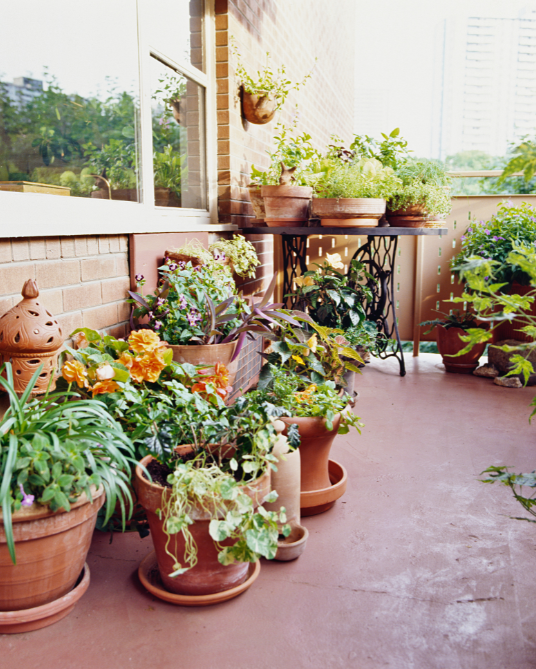 9 No Brainer Garden Tools for Balcony Green Thumbs