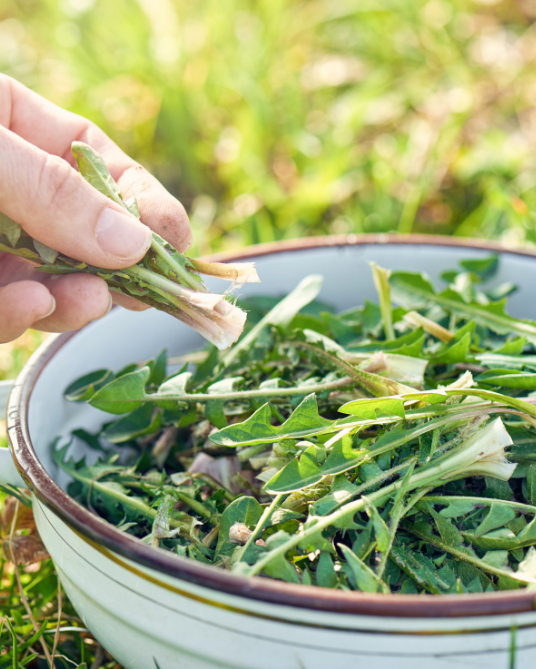 12 Dandelion Recipes to Bring Nature Back to Your Plate