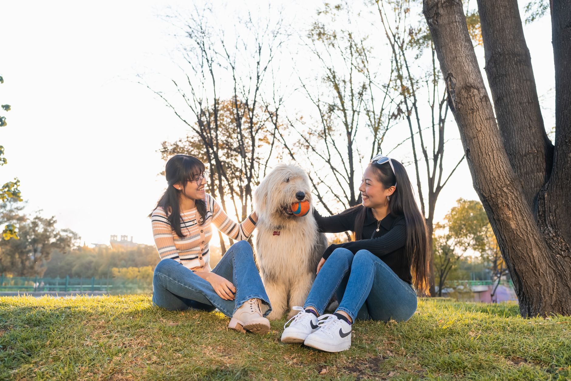 two women enjoying park day with fluffy dog
