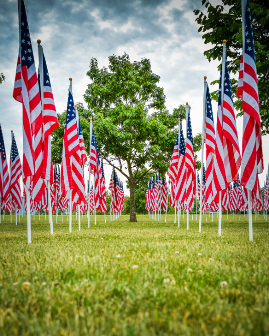 100+ Powerful Veterans Day Quotes to Honor Those Who Served